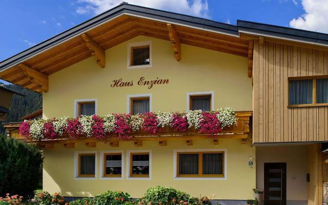 Sommerurlaub in zentraler Lage in Flachau im SalzburgerLand