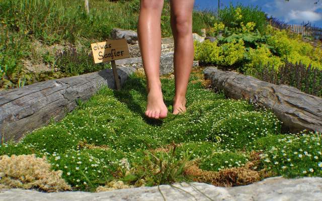 Sauna, Barfussweg und Kneippbecken im Garten