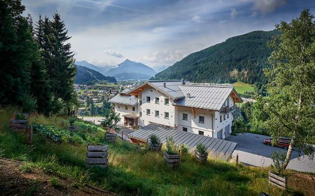 Sommerurlaub im SalzburgerLand - Ferienhaus Berg in Eben im Pongau