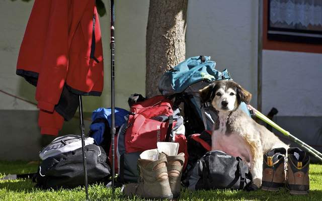 Urlaub mit Hund in der Ferienregion Salzburger Lungau