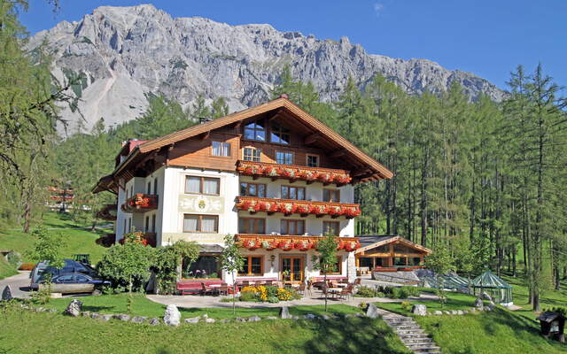 The Laerchenhof presents itself in summer surrounded by trees and framed by the Dachstein mountains
