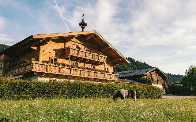 Summer vacation in the Wimmhof apartments in St. Martin am Tennengebirge